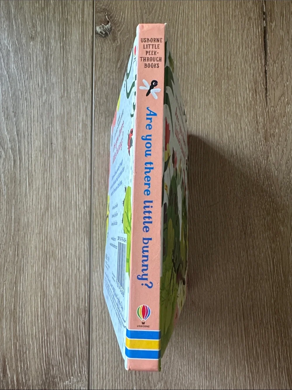 Usborne Are You There Little Bunny? Peak Thru Board Book